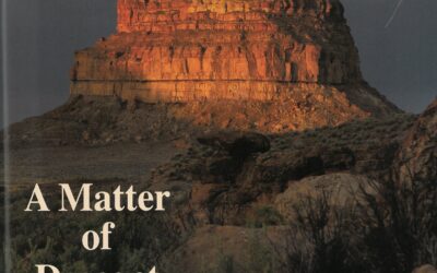 RGA’s efforts at the Eden House Preserve Featured in American Archaeology Magazine!
